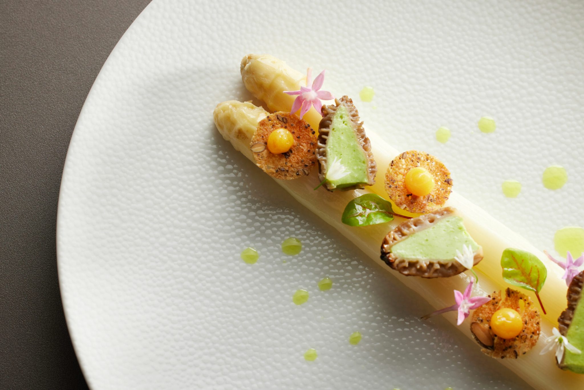 Shooting Photos Aji Groupe - Les Plaisirs Gourmands