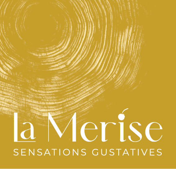 Logo Merise